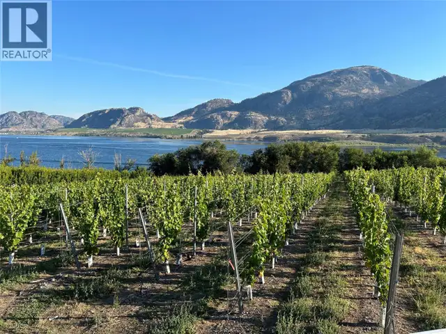 9425 87TH Street Osoyoos, British Columbia in Houses for Sale in Penticton - Image 10