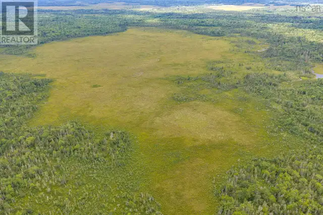 TBD Canada Hill Road Allendale, Nova Scotia in Land for Sale in Yarmouth - Image 17