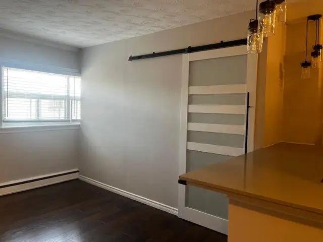 FULLY RENOVATED 1 BEDROOM APARTMENT FOR RENT | HAMILTON63417674685825124