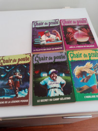 lot livre chair  de poule