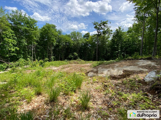 69 500$ - Terrain résidentiel à vendre à Chertsey dans Terrains à vendre  à Laurentides - Image 2