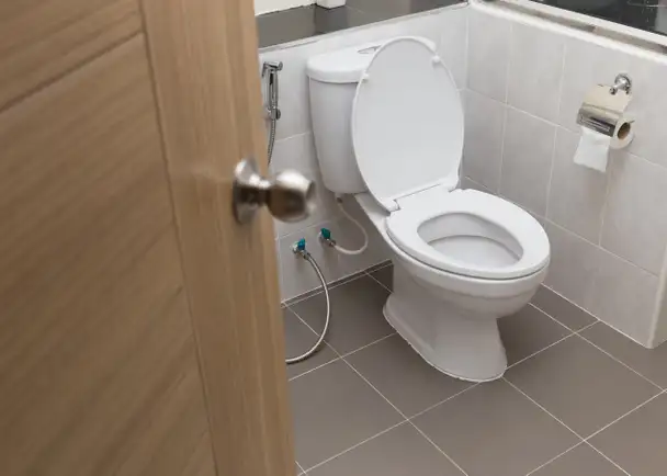 HANDYMAN & PAINTER ( MISSISSAUGA & BRAMPTON )595518165845944326