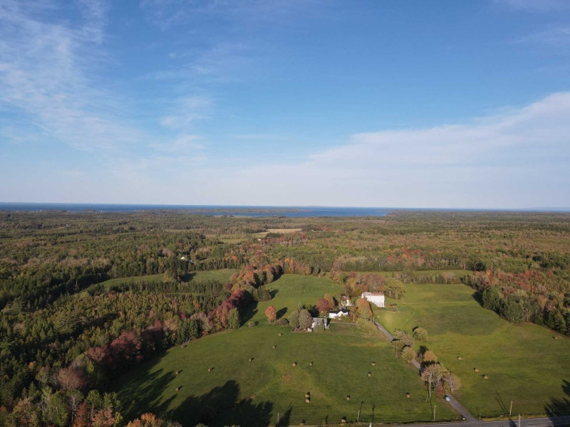 What a unique opportunity! Almost 96 acres of property! Land for Sale