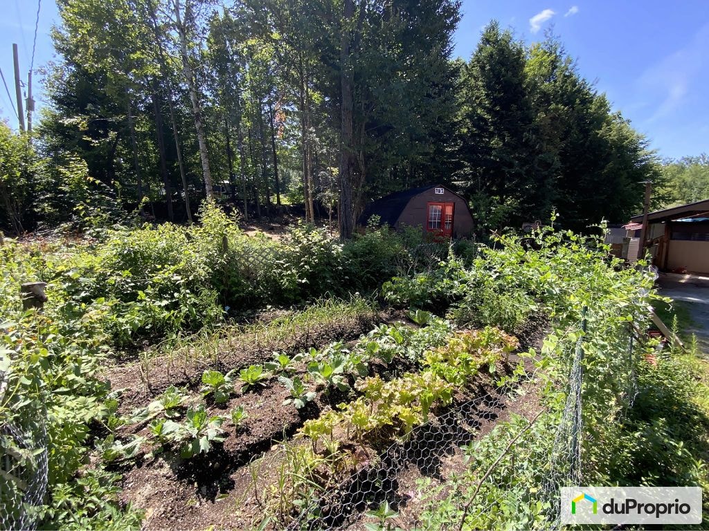 $539,000 - 1 1/2 Storey for sale in Gore — photo 3