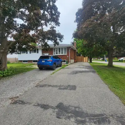large 3 bedroom apt in Lindsay (lower level of a raised bungalow) private / in-suite laundry full ki...