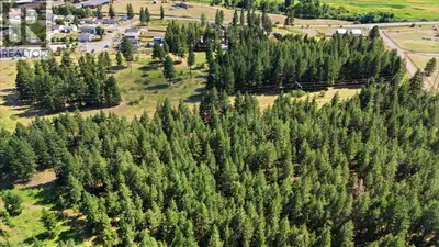 Over 24 acres of prime development land with RS and RHD Multifamily zoning. Previously had PLA in pl...
