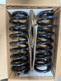 New Limousine Coil Springs and Struts Lincoln Town Car