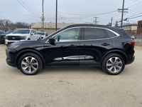 **WE WILL BEAT ANY DEALER IN THE CITY** Agate Black Metallic 2025 Ford Escape Platinum AWD 8-Speed A... (image 2)