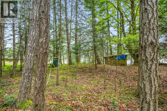 Lot 7 Driftwood Dr Mudge Island, British Columbia in Land for Sale in St. John's - Image 30