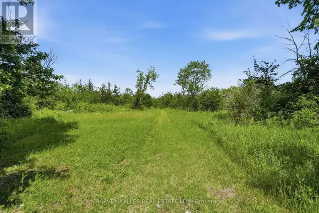685 COUNTY 8 ROAD Prince Edward County (Hallowell), Ontario in Land for Sale in Belleville - Image 4