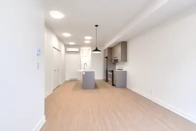 Appartement neuf à louer Plateau-Mont-Royal 2cc, View more