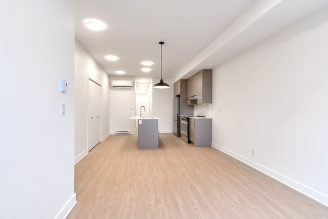 4.5 Appartement neuf à louer Plateau-Mont-Royal-Bloc Rivard dans Locations longue durée  à Ville de Montréal - Image 3