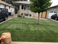 kentucky blue grass installation,soddin,lawn install. 6479362737