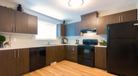 Broadstreet's Birch Hills Townhomes offers 3 bedroom pet friendly townhomes for rent in Fort Saskatc... (image 4)