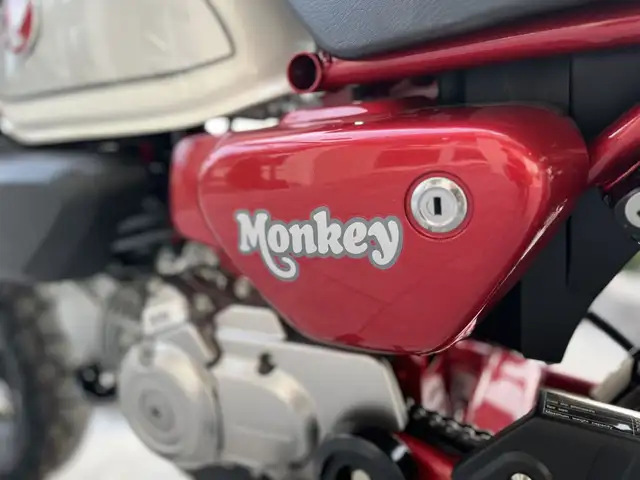 2024 Honda Monkey ABS in Street, Cruisers & Choppers in Kitchener / Waterloo - Image 18