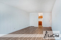 Studio for rent in the heart of Montreal