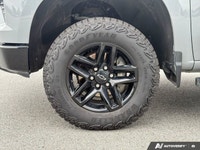 4WD Crew Cab 147 LT Trail Boss ... Engine: Turbocharged Diesel I6 3.0L/ Other Equipment ENGINE DURAM... (image 8)