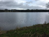 Waterfront land for sale in Orangedale