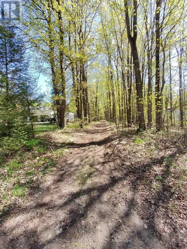 0 TOTEM RANCH ROAD Edwardsburgh/Cardinal, Ontario in Land for Sale in Woodstock - Image 6