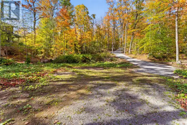100 RUSSELL DRIVE Trent Lakes, Ontario in Land for Sale in Muskoka - Image 24