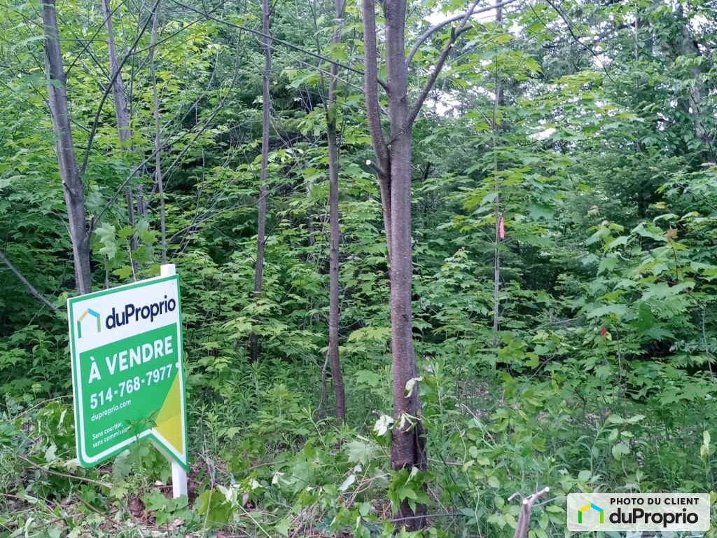$110,000 - Residential Lot for sale in Chertsey — photo 3