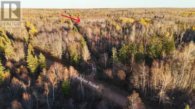 80.3-Acre Woodland Property ? Palmer Road. Own a substantial piece of Island forest - 80.3 acres of...