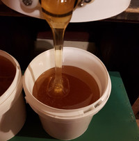 Pure Blueberry Flower Honey(Unpasteurized/No.1 Ontario Grade)