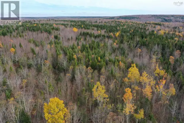 114 Acres+ MacMillan Road Willowdale, Nova Scotia in Land for Sale in New Glasgow - Image 4