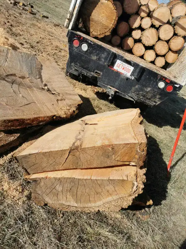 Wildwoodsman Firewood sales62863279366914124