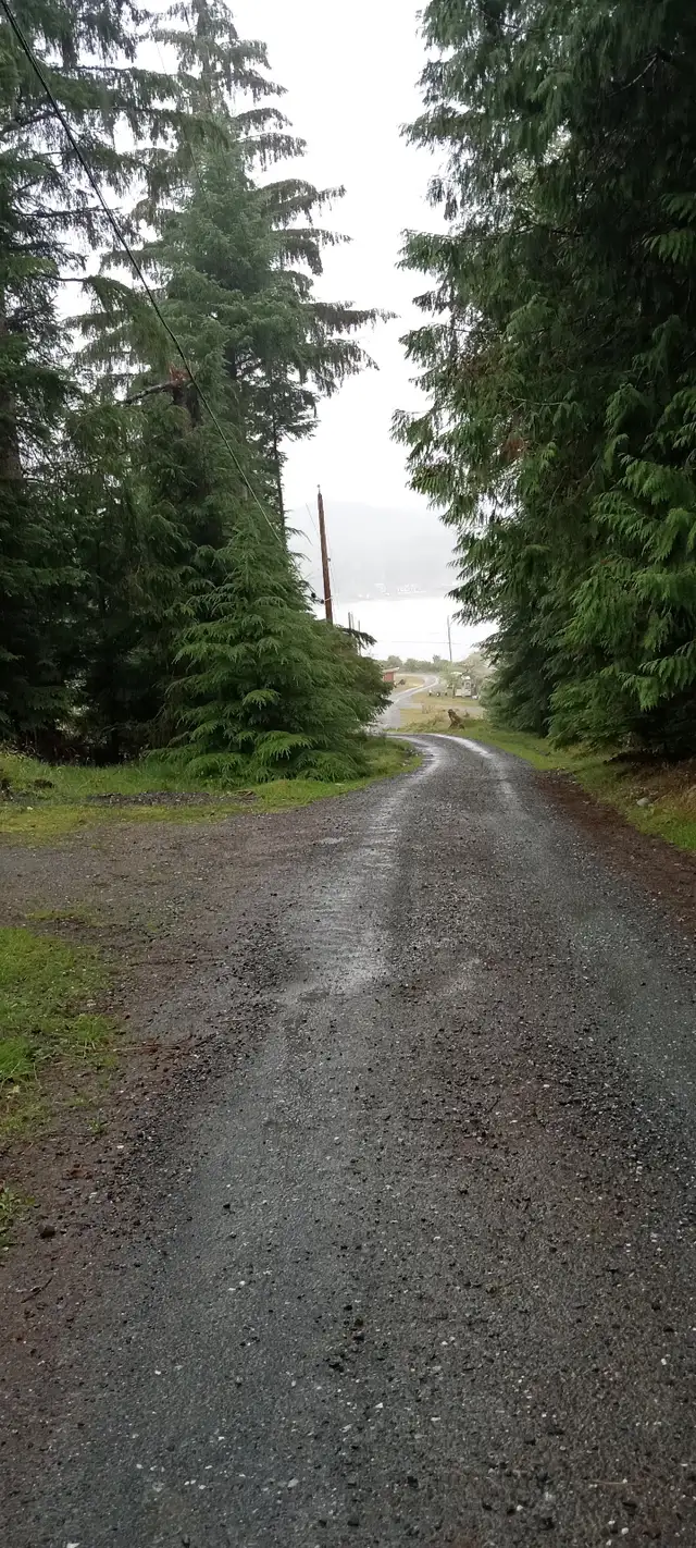 Building plot land in Land for Sale in Port Hardy / Port McNeill - Image 3