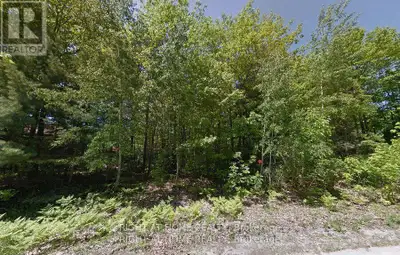 Your Dream Lot Awaits in Sunward Estates, Wasaga Beach! This beautiful nearly 0.6-acre treed lot off...