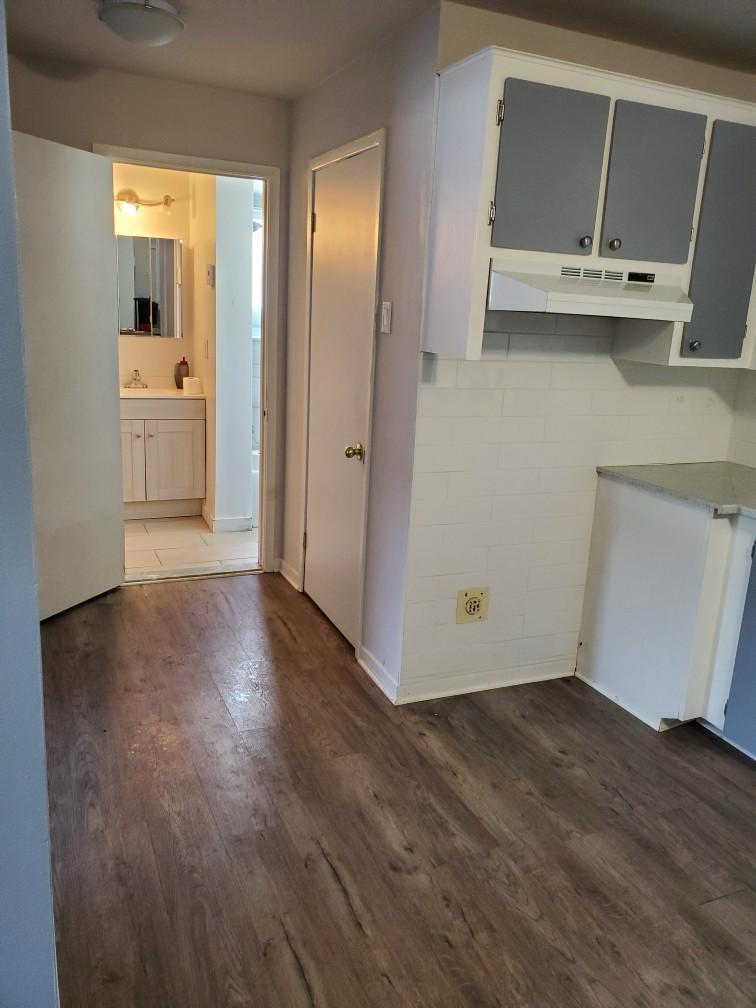 Spacious 1 BR apartment – ​​Saint-Hubert — photo 3