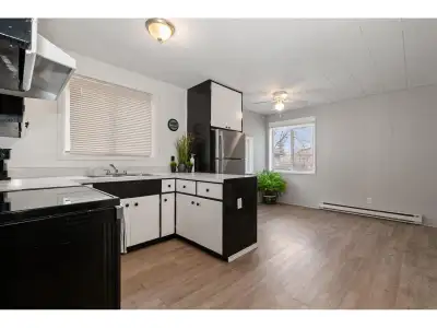 Discover a versatile home offering both comfortable living and income potential in Boston Bar. This...