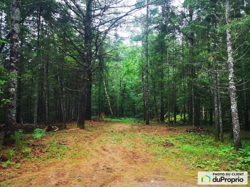 $95,000 - Residential Lot for sale in Labelle — photo 2