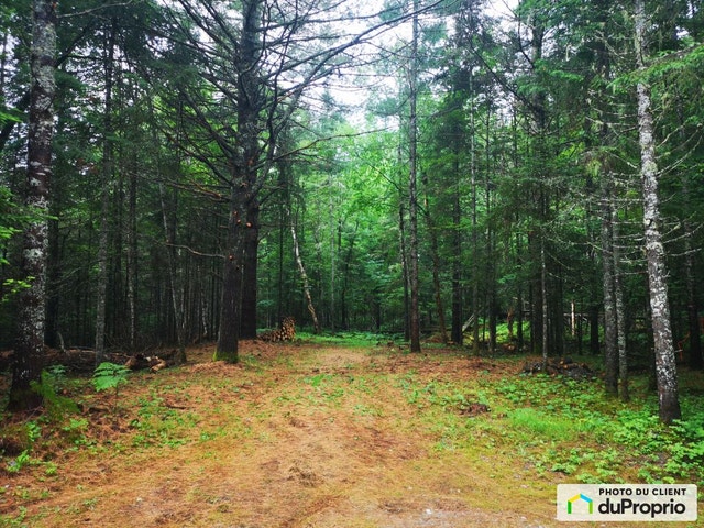 $95,000 - Residential Lot for sale in Labelle — photo 2