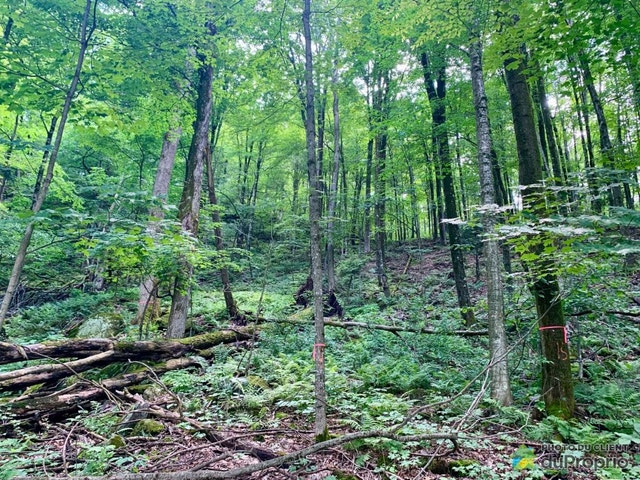 $350,000 - Residential Lot for sale in Bromont — photo 3