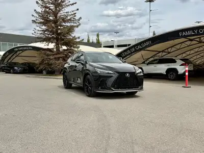 The NX 350 F Sport 1 targets drivers seeking a more engaging, responsive road feel without stepping...
