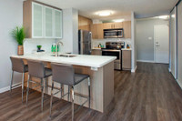 Live well at Main Square Apartments; perfectly located at Danforth and Main, surrounded by convenien... (image 3)