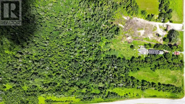2884 COUNTY RD 89 Innisfil, Ontario in Houses for Sale in Barrie - Image 12