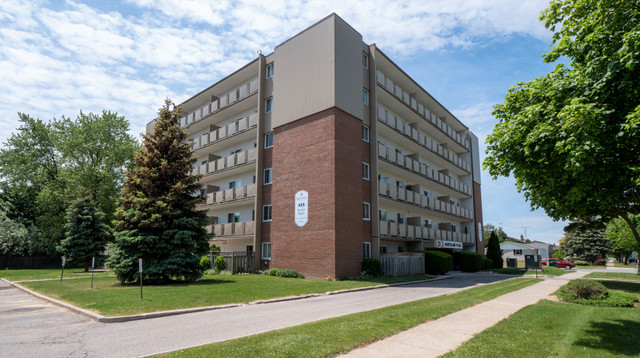 Chatham 1 Bedroom Apartment for Rent: in Long Term Rentals in Chatham-Kent - Image 2