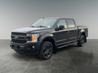 2019 Ford F-150 XLT 4WD SuperCrew 5.5' Box