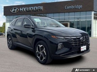 Embrace the perfect blend of efficiency and elegance with this stunning 2024 Hyundai Tucson Hybrid L... (image 6)