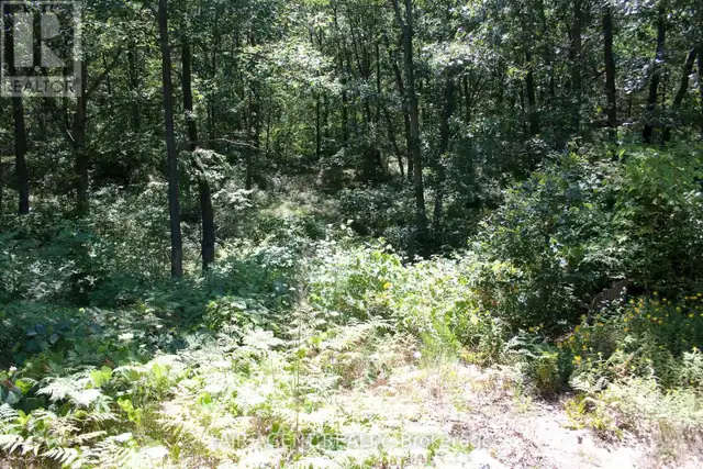 10267 DANIEL AVENUE Lambton Shores, Ontario in Land for Sale in Grand Bend - Image 4