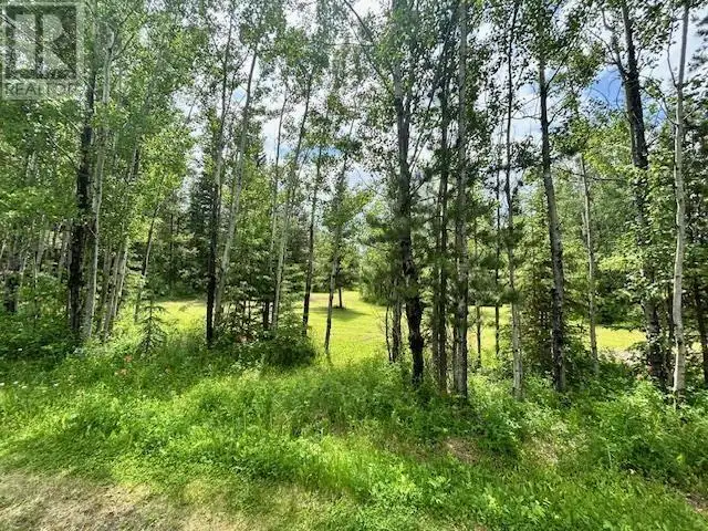 844 BEARHEAD ROAD Vanderhoof, British Columbia in Houses for Sale in Vanderhoof - Image 31
