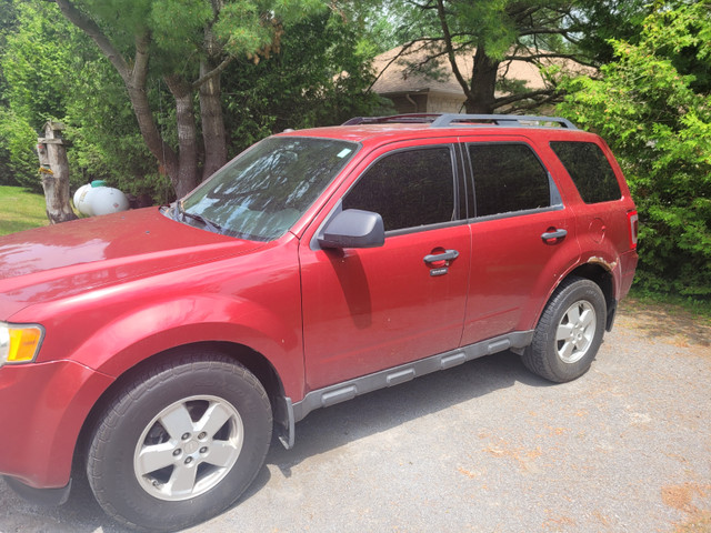 2012 Ford Escape XLT in Cars & Trucks in Oshawa / Durham Region - Image 2