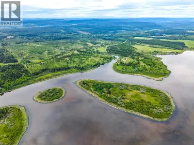 A rare chance to own 609 acres with 3.5 km of Buffalo Lake frontage and Buffalo Creek running year-r...