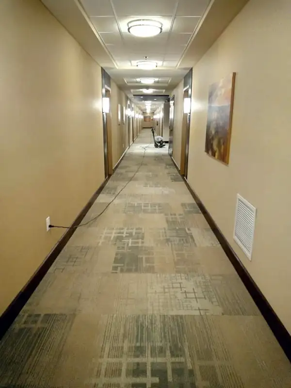 Ottawa Carpet Cleaners: Ottawa-CarpetCleaning.com62863253876610121