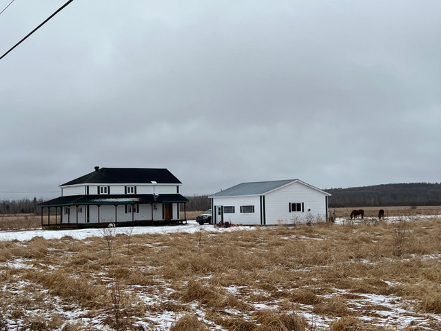 Laforce (Abitibi) : Fermette 208 acres, 96 acres cultivables dans Maisons à vendre  à Rouyn-Noranda