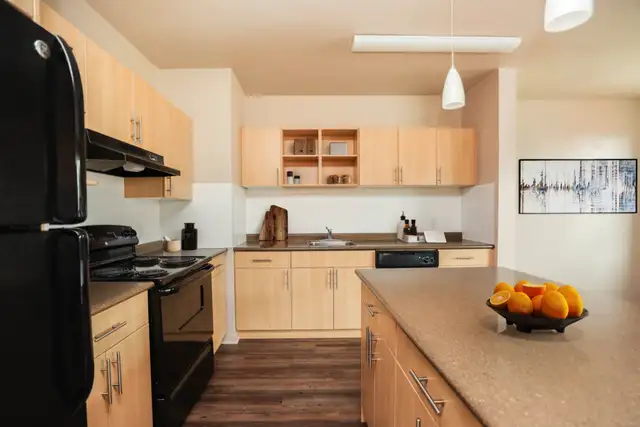 Essex House - 1 Bed 1 Bath A Apartment for Rent62864379878787123