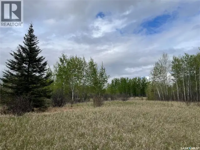 5.5km South of Dorintosh Lot 2 Meadow Lake Rm No.588, Saskatchew in Land for Sale in Meadow Lake - Image 6